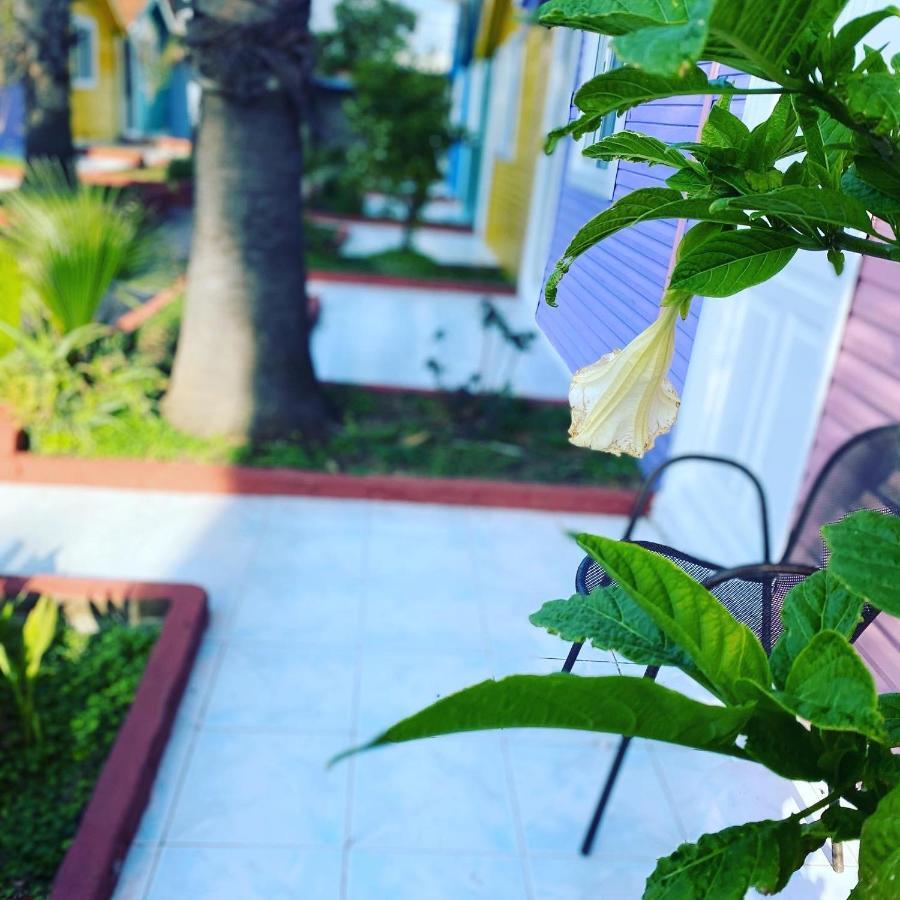 Cuba Beach Hotel Side Bagian luar foto